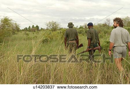 African Safari - morning hike Kruger National Park - South Africa View Large Photo Image Stock Photo - African Safari - morning hike Kruger National Park - South Africa. Fotosearch