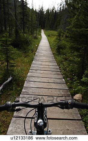 Close-up of a bicycle on a narrow wooden trail View Large Photo Image Stock Photograph - Close-up of a bicycle on a narrow wooden trail. Fotosearch