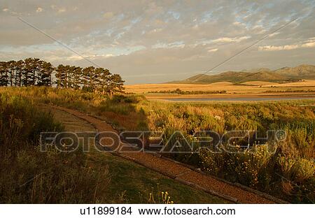 Coastal Landscape - South Africa View Large Photo Image Picture - Coastal Landscape - South Africa. Fotosearch