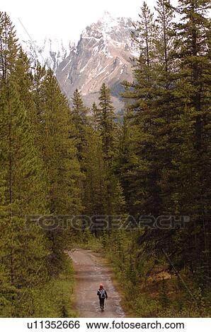 Girl walking down path in forest View Large Photo Image Stock Photograph - Girl walking down path in forest. Fotosearch