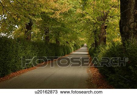 Landscapes - Tuscany, Italy View Large Photo Image Stock Image - Landscapes - Tuscany, Italy. Fotosearch