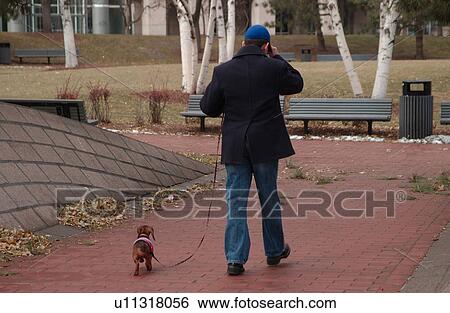 Man Walking his Dog View Large Photo Image Stock Photograph - Man Walking his Dog. Fotosearch