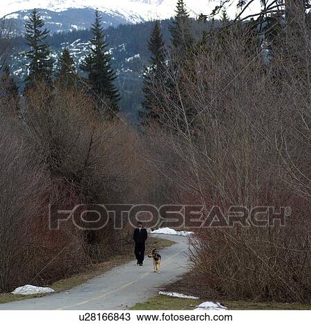 Nature trails in British Columbia. Canada View Large Photo Image Stock Image - Nature trails in British Columbia. Canada. Fotosearch