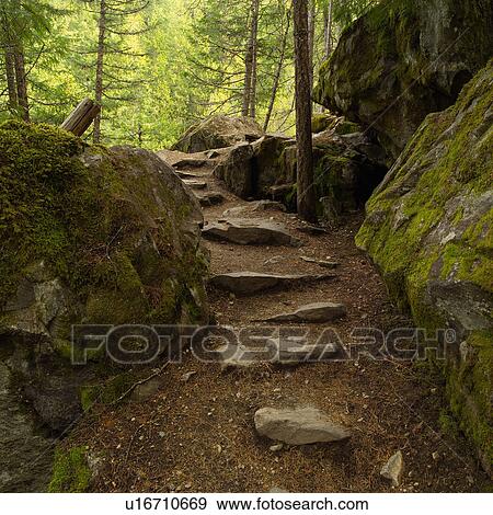 Nature trails View Large Photo Image Stock Photo - Nature trails. Fotosearch