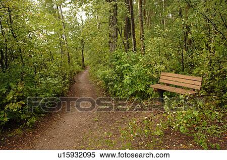 Path in forest around Oil Sands View Large Photo Image Stock Photography - Path in forest around Oil Sands. Fotosearch