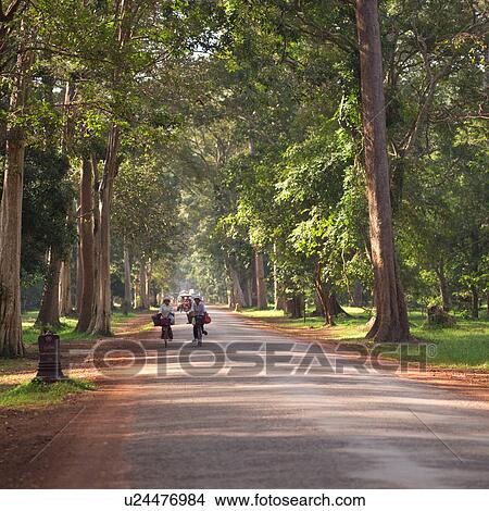 Picture - People riding bicycles down a roadway in Cambodia. Fotosearch