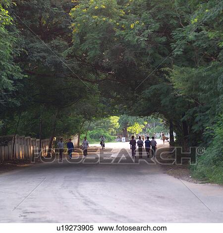 Stock Photography - People walking down a tree lined road. Fotosearch