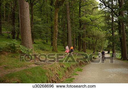 People walking on path in Glendalough View Large Photo Image Stock Photograph - People walking on path in Glendalough. Fotosearch