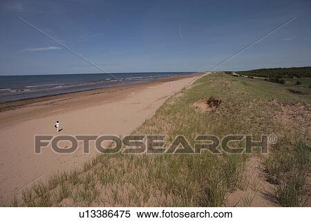 Person walking on a deserted beach View Large Photo Image Stock Photography - Person walking on a deserted beach. Fotosearch