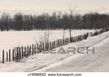 Snow covered road in Alberta Canada View Large Photo Image Stock Image - Snow covered road in Alberta Canada. Fotosearch