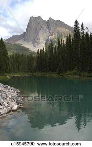 A lake surrounded with trees in a valley, Rocky Mountains, Canada View Large Photo Image Stock Image - A lake surrounded with trees in a valley, Rocky Mountains, Canada. Fotosearch