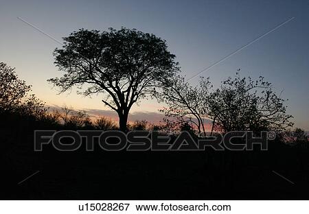 African Landscape View Large Photo Image Stock Photo - African Landscape. Fotosearch
