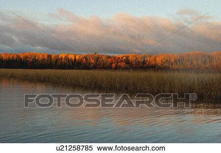 Stock Photography - Autumn Colors at Lake of the Woods, Ontario, Canada. Fotosearch