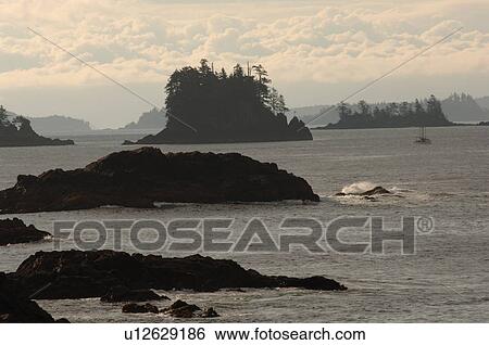 Broken Islands at sunrise, Pacific Rim National Park, Vancouver Island, Canada View Large Photo Image Stock Photograph - Broken Islands at sunrise, Pacific Rim National Park, Vancouver Island, Canada. Fotosearch