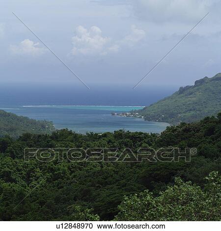 Stock Image - Coastline at Moorea in Tahiti. Fotosearch