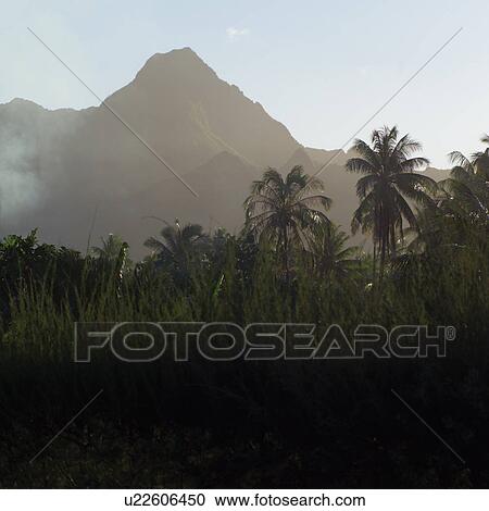Landscape of Moorea in Tahiti View Large Photo Image Stock Image - Landscape of Moorea in Tahiti. Fotosearch