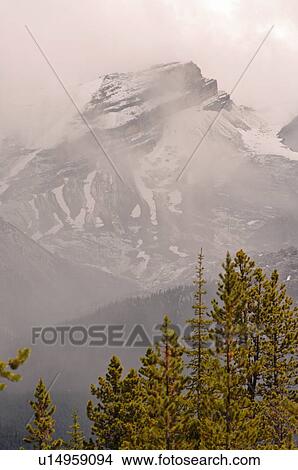 Low Cloud over snow capped mountain, Jasper National Park, Canada View Large Photo Image Picture - Low Cloud over snow capped mountain, Jasper National Park, Canada. Fotosearch