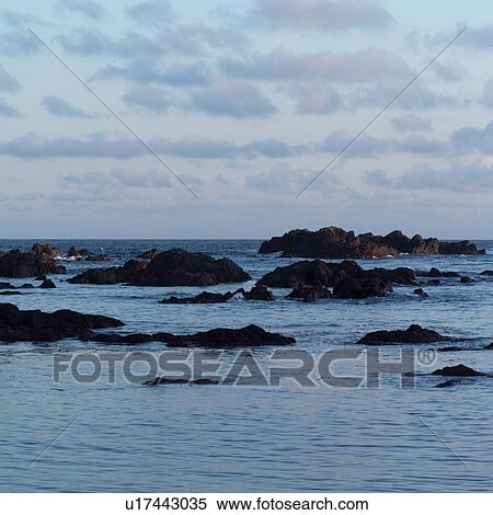 Stock Photography - Rocks at shoreline, Pacific Rim Park, Vancouver Island, Canada. Fotosearch