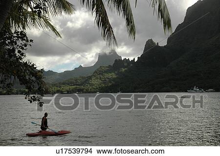 Picture - A man in a rowboat in water, Moorea, Tahiti, French Polynesia, South Pacific. Fotosearch