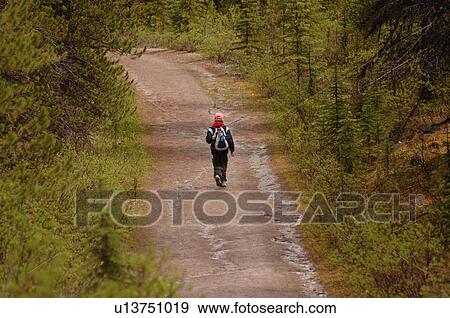 Girl walking down path in forest, Jasper National Park, Canada View Large Photo Image Stock Photo - Girl walking down path in forest, Jasper National Park, Canada. Fotosearch