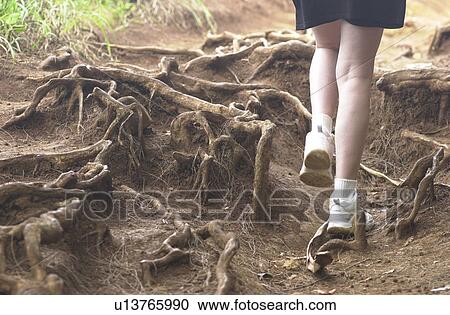 Stock Image - Hawaii & Kaui. Fotosearch