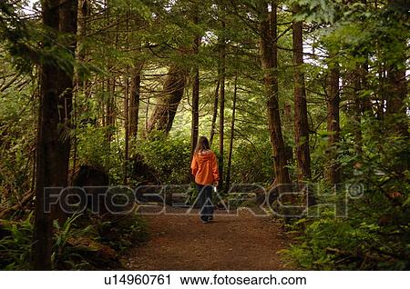 Stock Image - Young girl walking along path in forest. Fotosearch