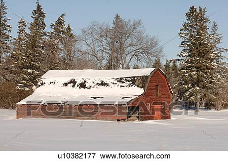 Stock Photo - Derelict Barn on Farm in Alberta Canada. Fotosearch