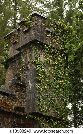 Rural Ireland - ivy growing on tower View Large Photo Image Stock Photo - Rural Ireland - ivy growing on tower. Fotosearch