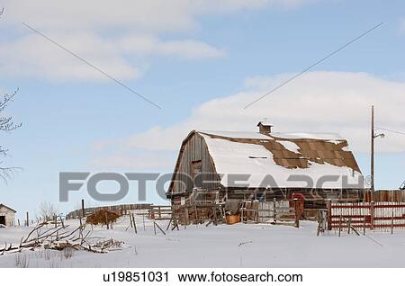 Stock Image - Snow Covered Derelict Barn in Alberta Canada. Fotosearch