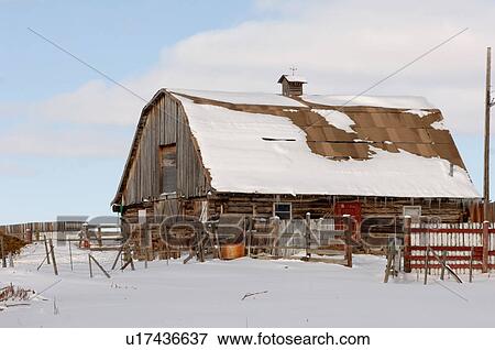 Snow Covered Derelict Barn in Alberta Canada View Large Photo Image Stock Photo - Snow Covered Derelict Barn in Alberta Canada. Fotosearch