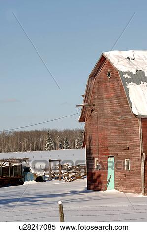Stock Photography - Snow Covered Derelict Barn in Alberta Canada. Fotosearch