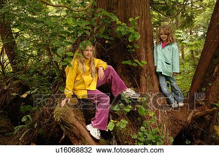 Stock Image - Children in Tree. Fotosearch