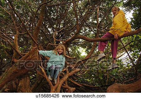 Stock Photograph - Children in Tree. Fotosearch