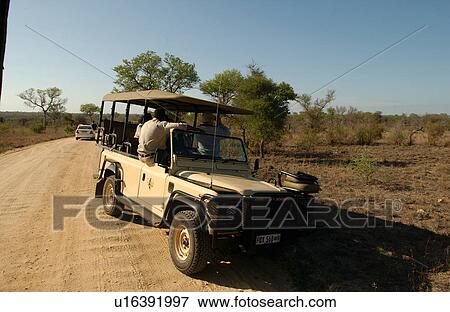 Africa Safari View Large Photo Image Stock Photo - Africa Safari. Fotosearch