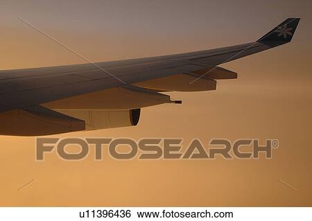 Close-up of the tail of an airborne aero plane, Moorea, Tahiti, French Polynesia, South Pacific View Large Photo Image Stock Photograph - Close-up of the tail of an airborne aero plane, Moorea, Tahiti, French Polynesia, South Pacific. Fotosearch