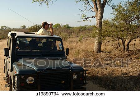 Picture - Africa Safari. Fotosearch