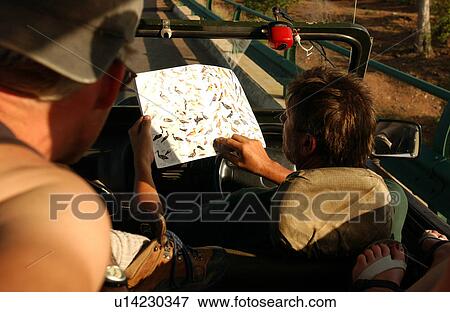 Stock Photo - Africa Safari. Fotosearch