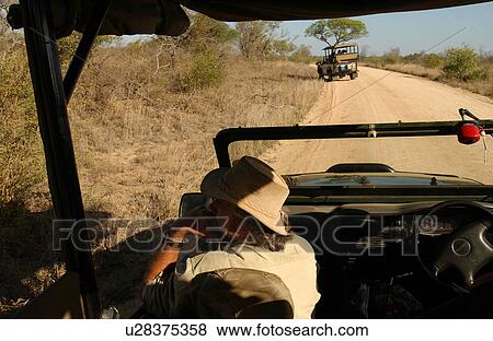 Africa Safari View Large Photo Image Stock Photo - Africa Safari. Fotosearch