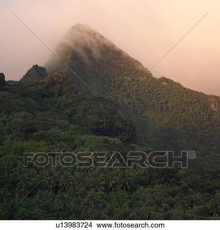 Picture - Mountain at Moorea in Tahiti. Fotosearch