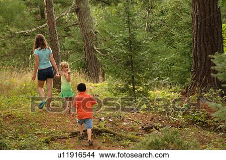 Picture - Children hiking through forest. Fotosearch