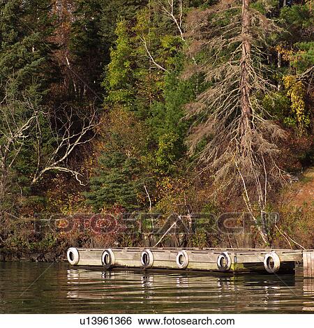 Dock at edge of forest View Large Photo Image Stock Photograph - Dock at edge of forest. Fotosearch