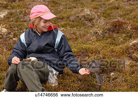 Girl holding out food for bird, Jasper National Park, Canada View Large Photo Image Stock Photograph - Girl holding out food for bird, Jasper National Park, Canada. Fotosearch