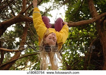 Picture - Girl in Tree. Fotosearch