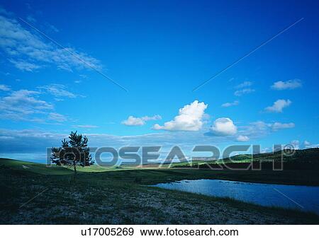 Bare Tree, Blue, Cloud, Coast, Dusk View Large Photo Image Stock Photo - Bare Tree, Blue, Cloud, Coast, Dusk. Fotosearch
