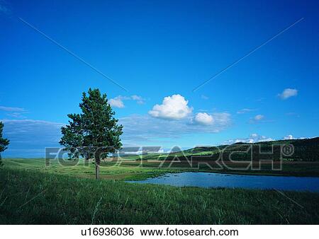 Blue, Cloud, Coast, Day, Dusk View Large Photo Image Stock Photograph - Blue, Cloud, Coast, Day, Dusk. Fotosearch