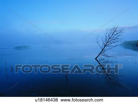 Coast, Foggy, Sunset, Water, Twilight View Large Photo Image Stock Photo - Coast, Foggy, Sunset, Water, Twilight. Fotosearch