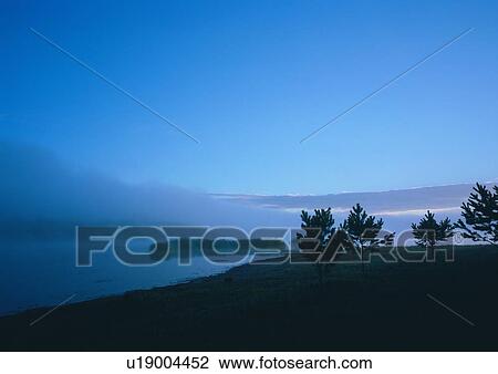 Stock Image - Dirt Road, Nature, Sky, Dusk, Tree, Lake, Light. Fotosearch
