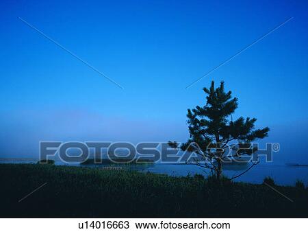 Dusk over a lake View Large Photo Image Stock Image - Dusk over a lake. Fotosearch