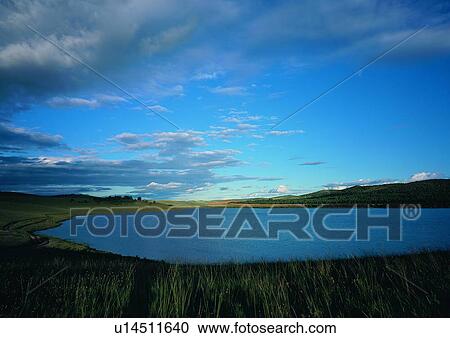Stock Image - Lake, Weeds, Nature, Dusk, Sunlight. Fotosearch