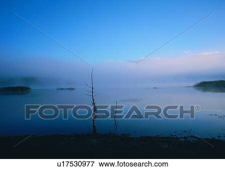 Stock Photo - Light, Foggy, Nature, Water, Sky. Fotosearch